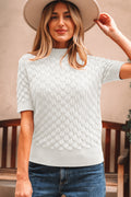White Fish Scale Textured Knit Ribbed High Neck Short Sleeve Sweater