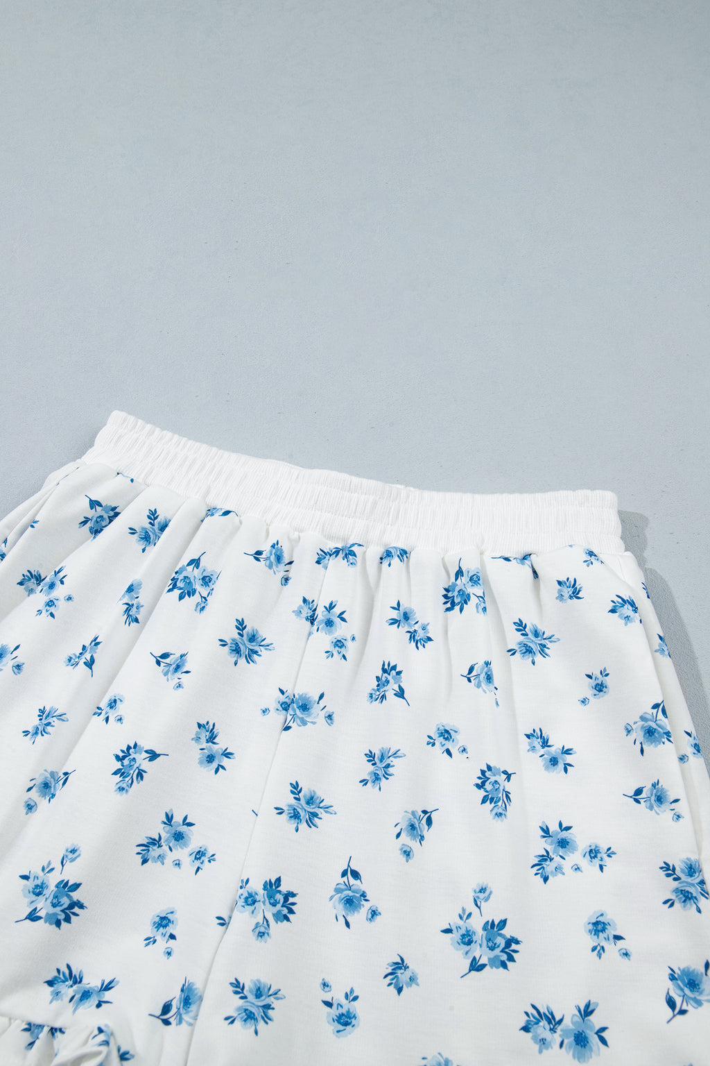 Sky Blue Floral Print Long Sleeve Top Elastic Waist Ruffle Hem Shorts 2pcs Set