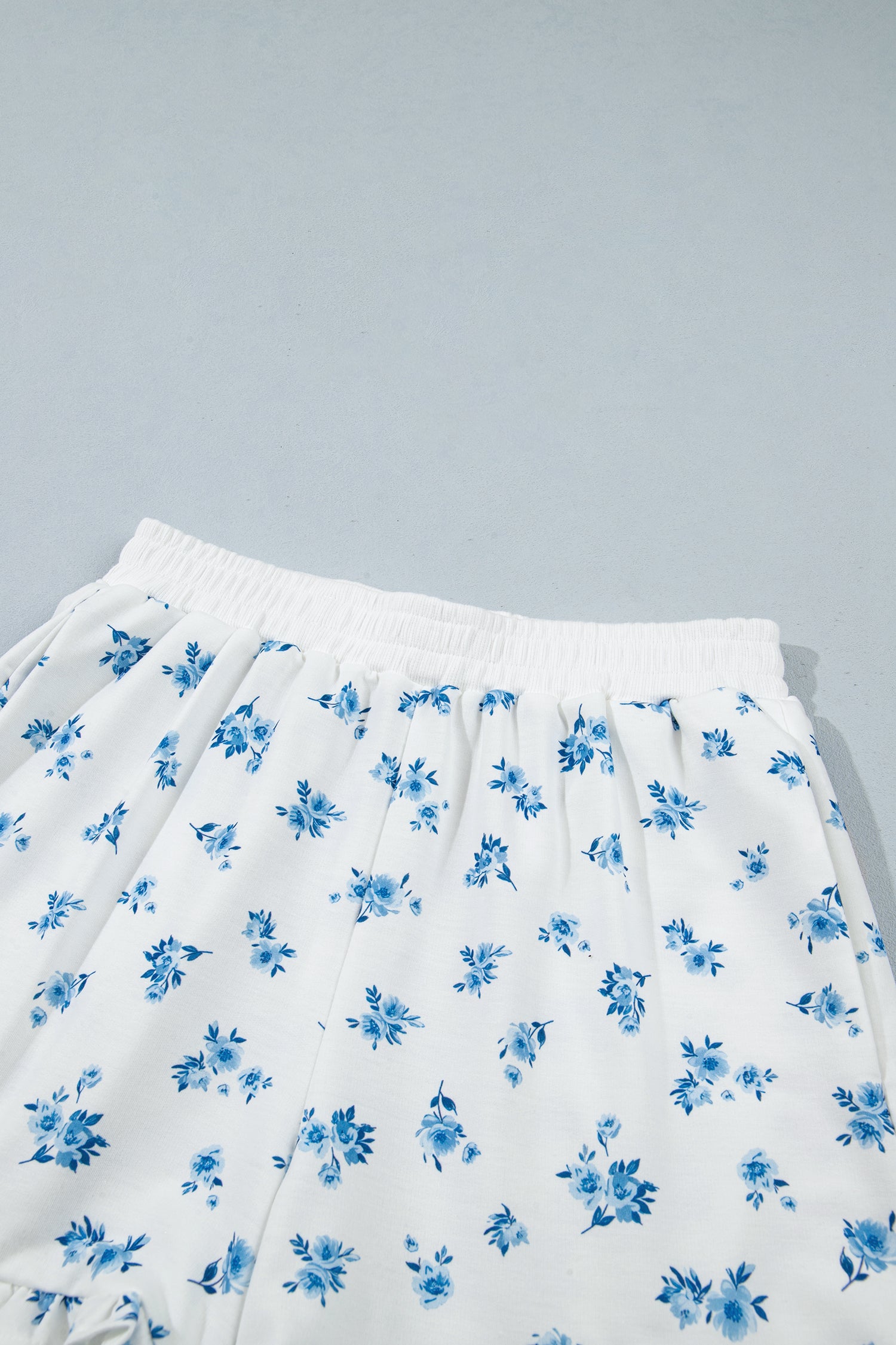 Sky Blue Floral Print Long Sleeve Top Elastic Waist Ruffle Hem Shorts 2pcs Set