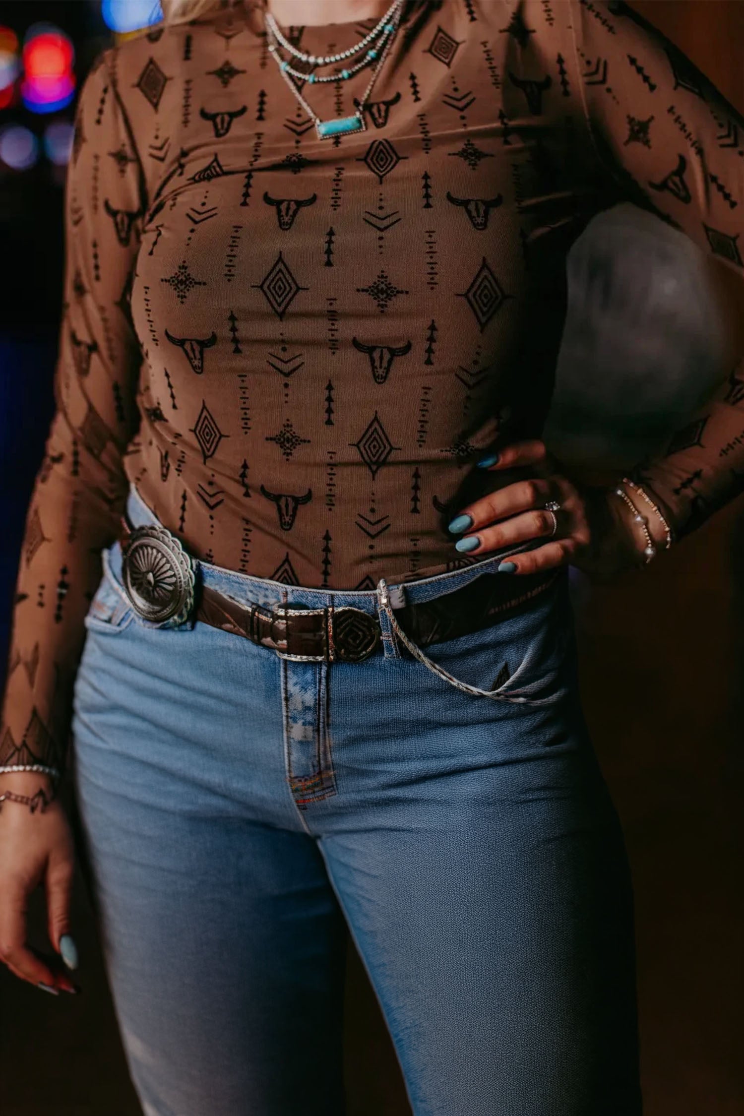Chestnut Retro Western Print Mesh Long Sleeve Sheath Top
