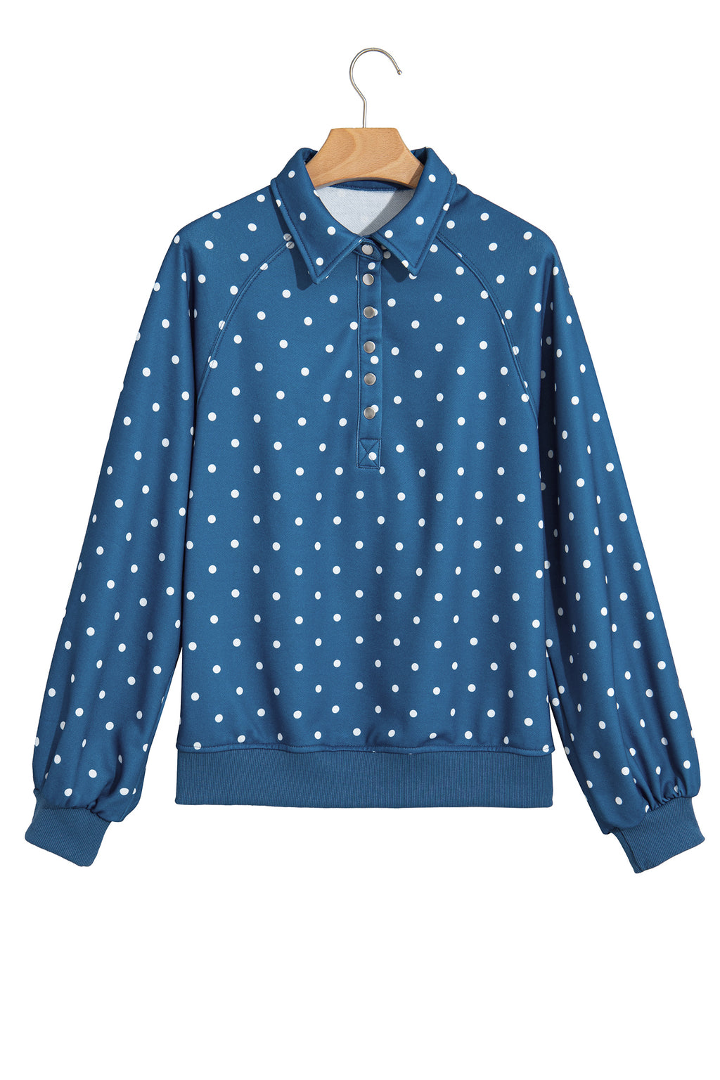 Blue Polka Dot Print Metal Button Collar Casual Pullover Sweatshirt