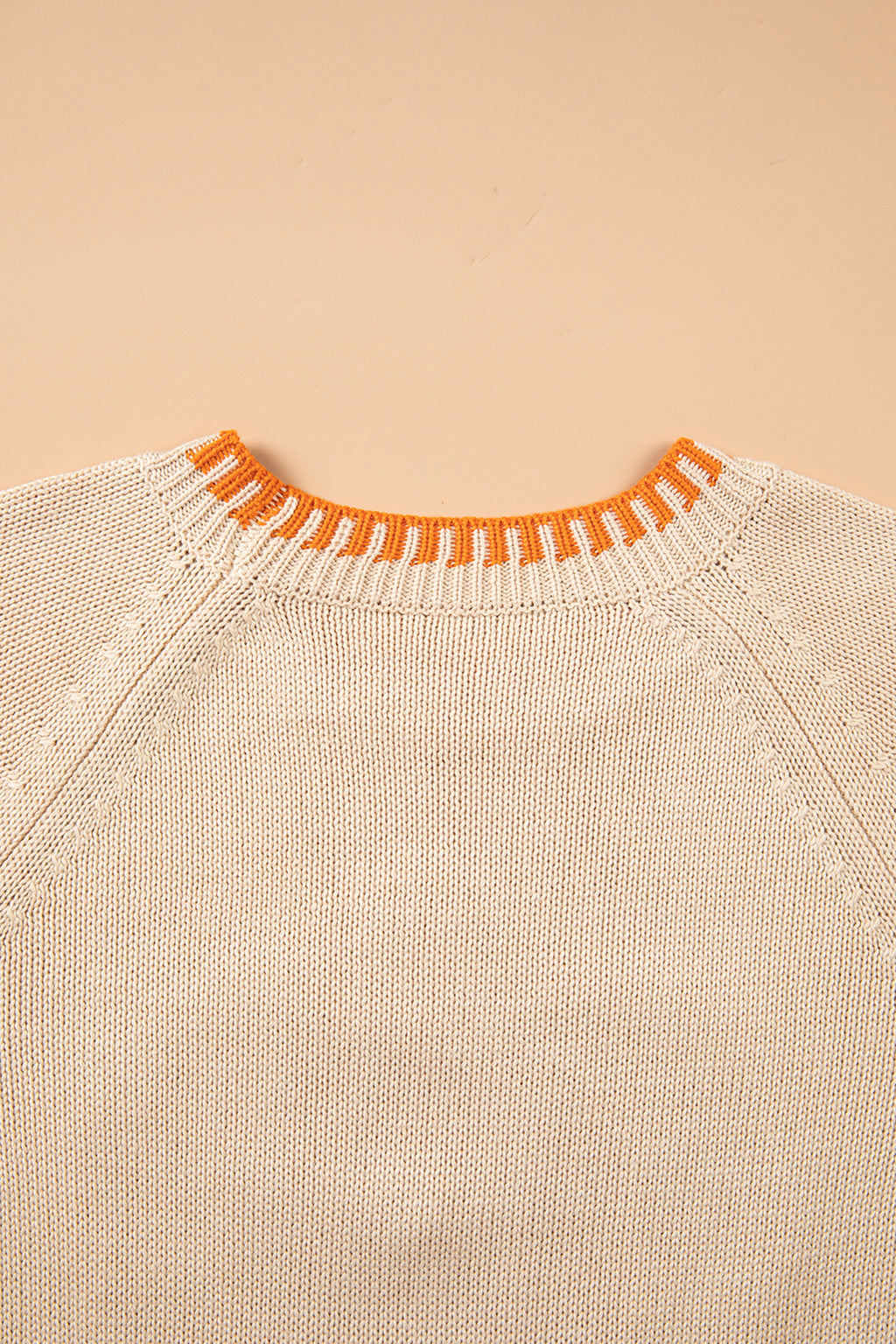 Parchment Floral Embroidery Pumpkin Long Sleeve Round Neck Sweater