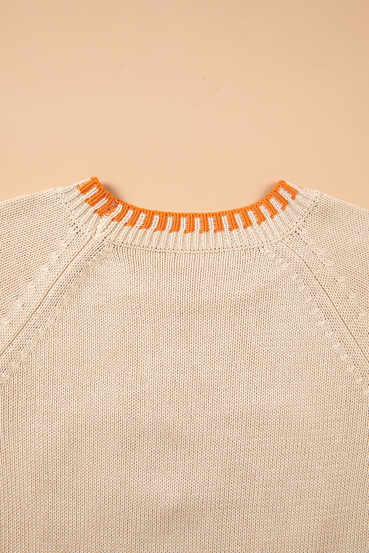 Parchment Floral Embroidery Pumpkin Long Sleeve Round Neck Sweater