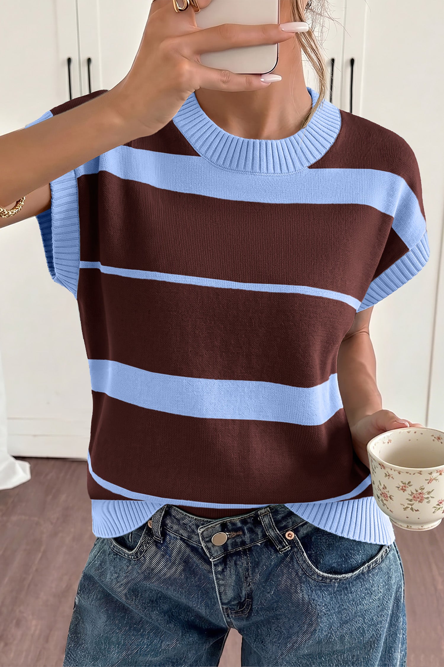 Sky Blue Stripe Striped Short Sleeve Round Neck Casual Knit Top