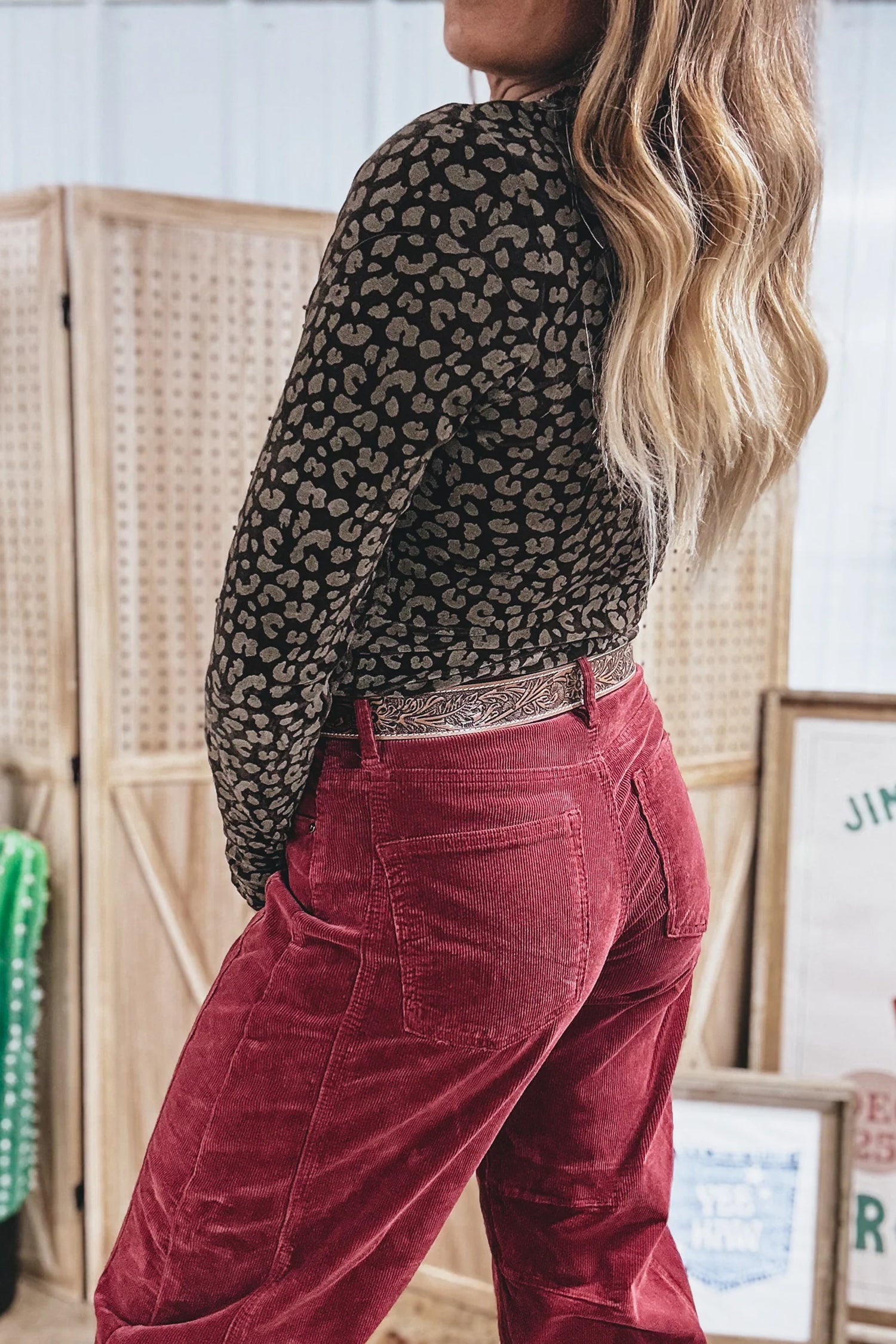Brown Leopard Print Velvet Long Sleeve Western Style Pullover Top