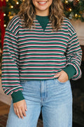 Green Stripe Striped Colorblock Round Neck Long Sleeve Shift Plus Size Sweatshirt
