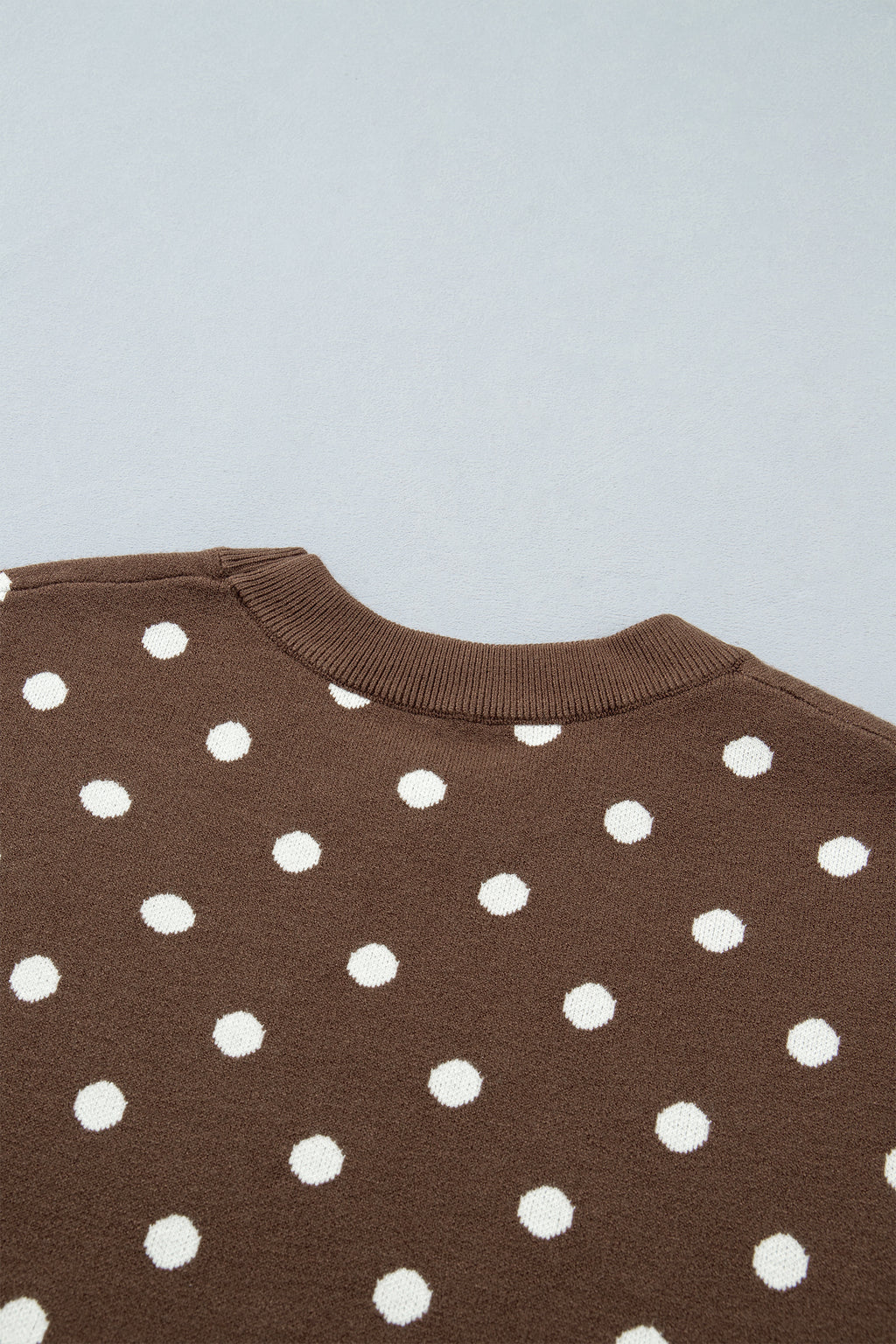 Brown Dolman Short Sleeve Round Neck Polka Dot Sweater